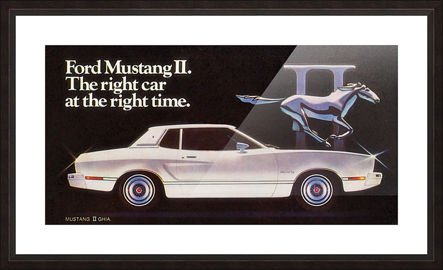 Mustang II Picture Frame print