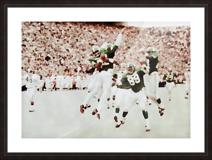 Spartan Celebration Picture Frame print