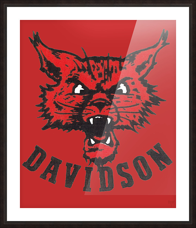 Vintage Davidson Wildcat Art Picture Frame print