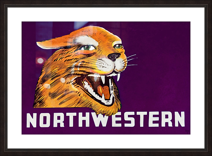Vintage Northwestern Wildcat Art Picture Frame print