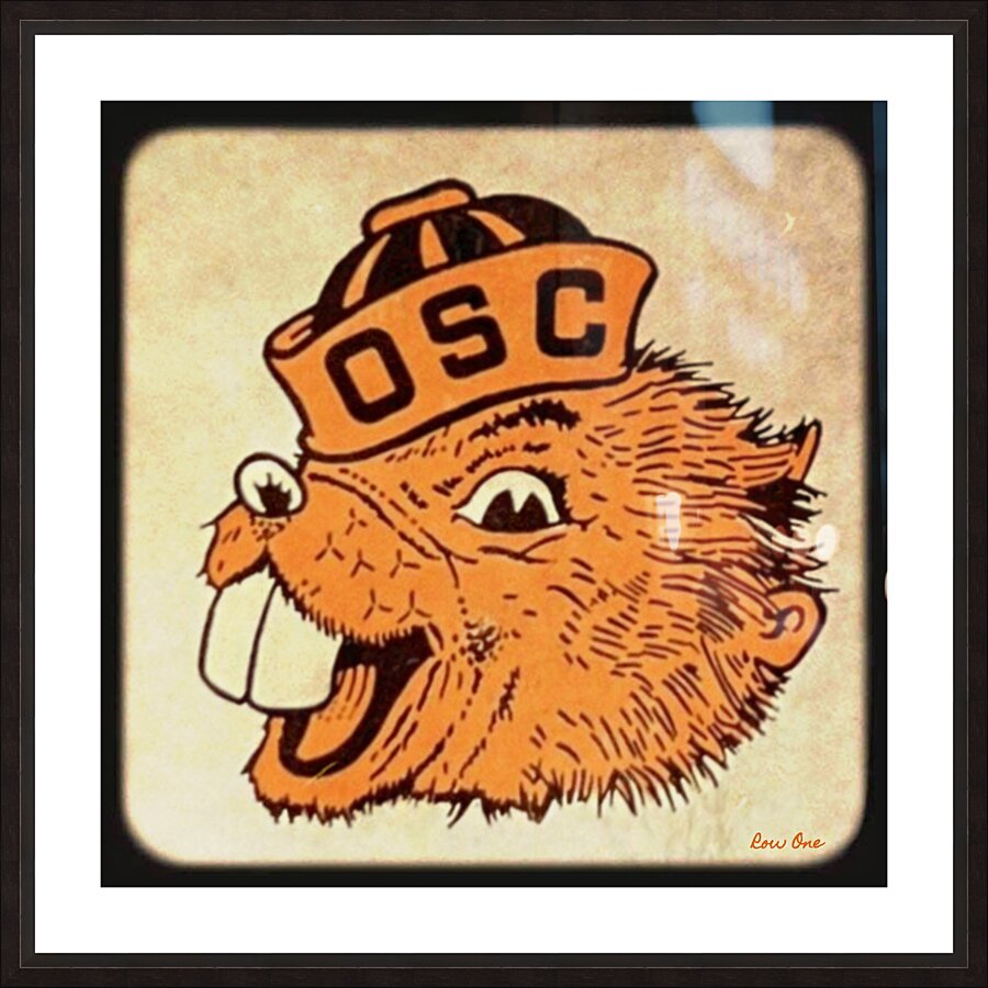 1950s oregon state college beaver viewfinder Picture Frame print