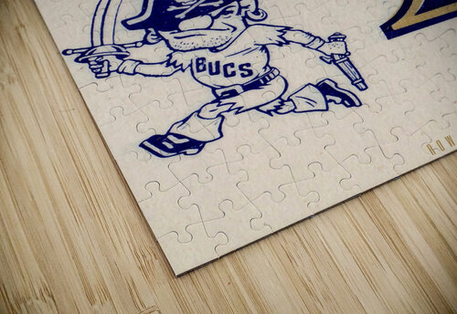 Vintage East Tennessee Bucs Art Row One Brand puzzle