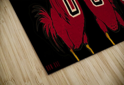 Vintage USC Gamecocks Cartoon Art Row One Brand puzzle