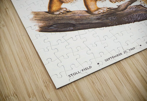 1969 Ole Miss Rebels at Kentucky Wildcats Row One Brand puzzle