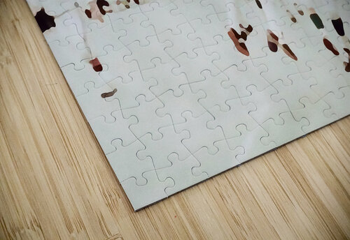 Spartan Celebration Row One Brand puzzle