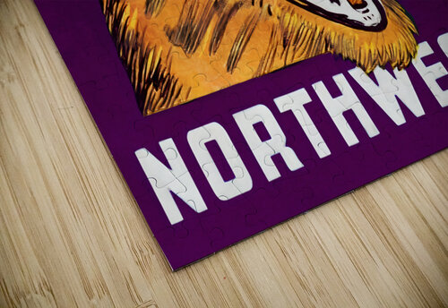 Vintage Northwestern Wildcat Art Row One Brand puzzle