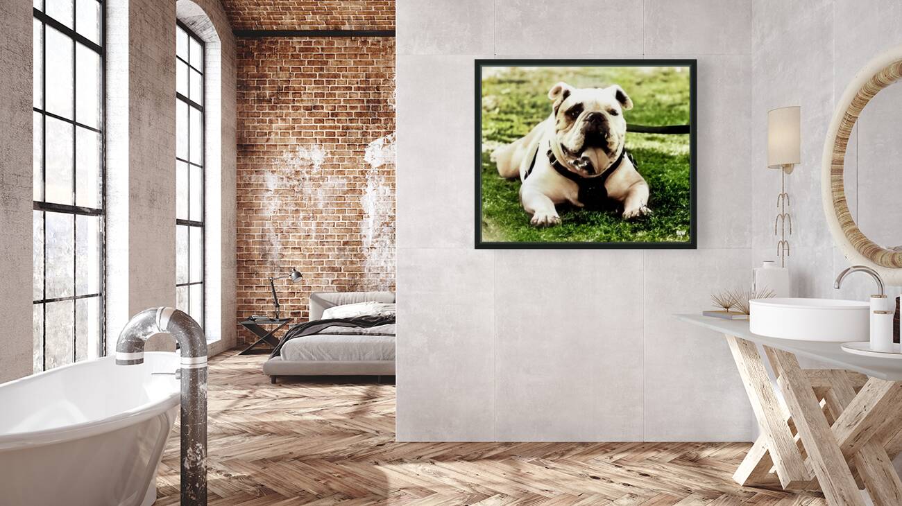 1980s bully mascot art  Reproduction