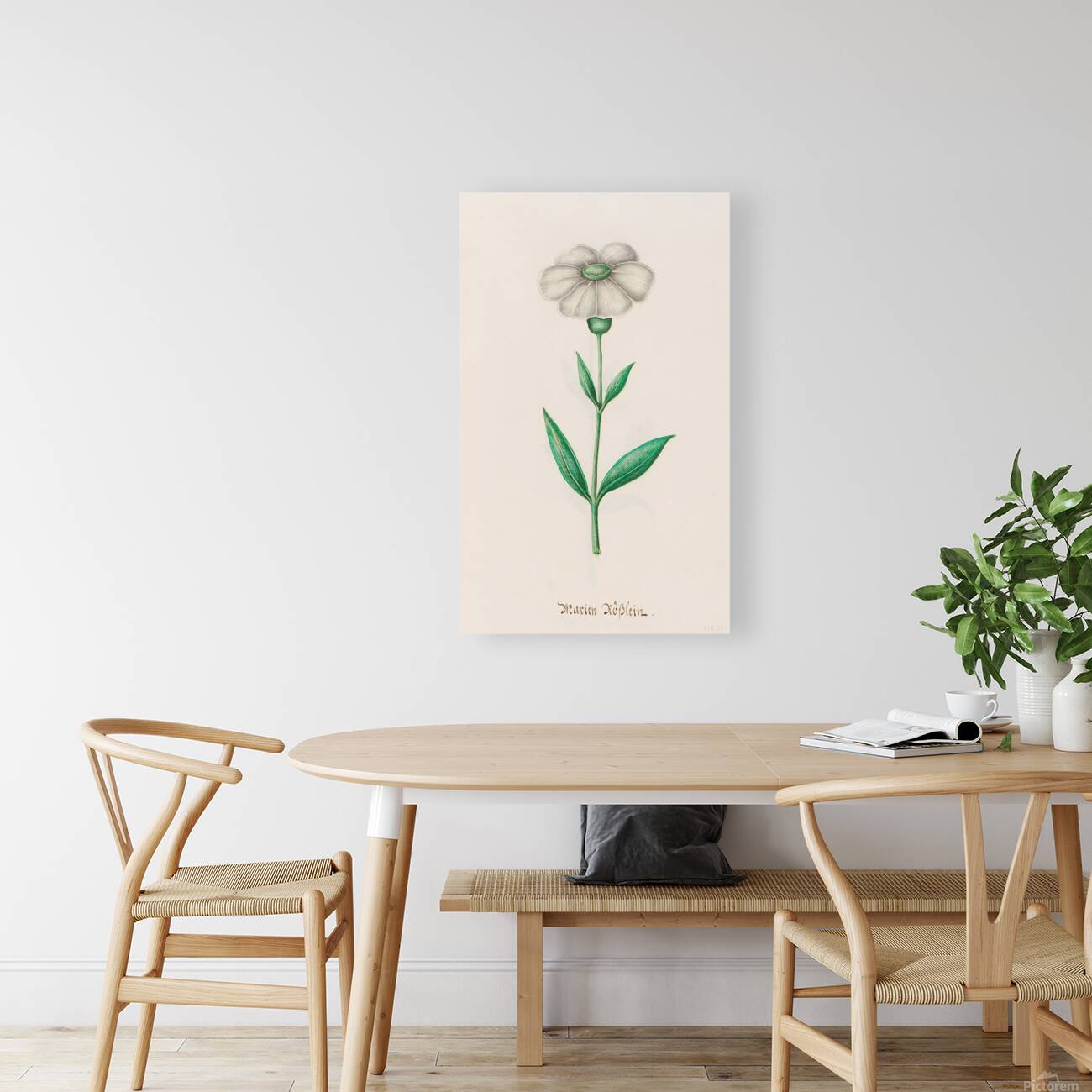 1692 Flower Art Reproduction