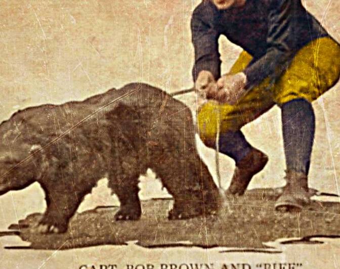 Michigan Wolverine Biff Viewfinder Art by Row One Brand