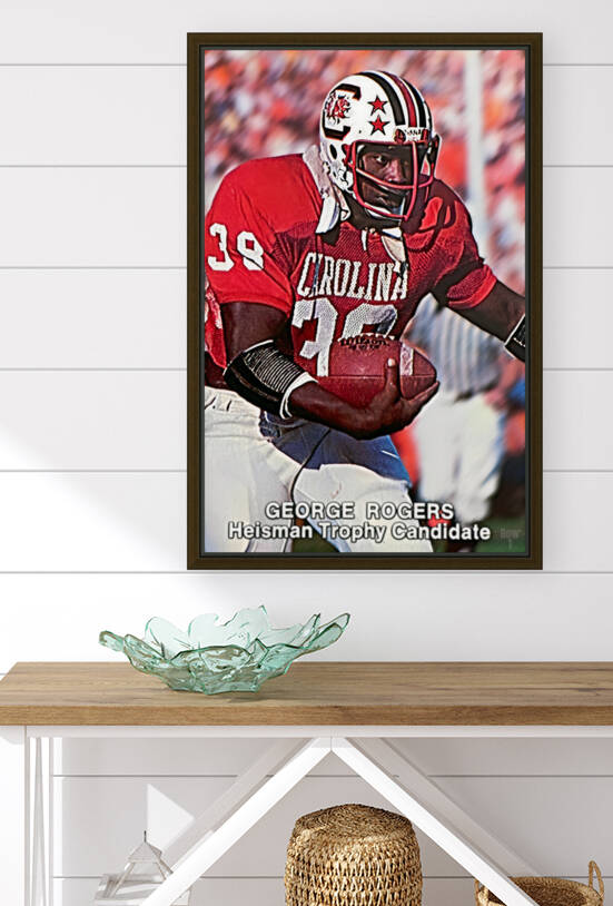 1980 George Rogers South Carolina 3D Art by Row One Brand