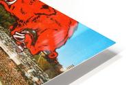 Razorback Stadium Art HD Metal print