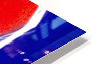 Joyful Slide  HD Metal print