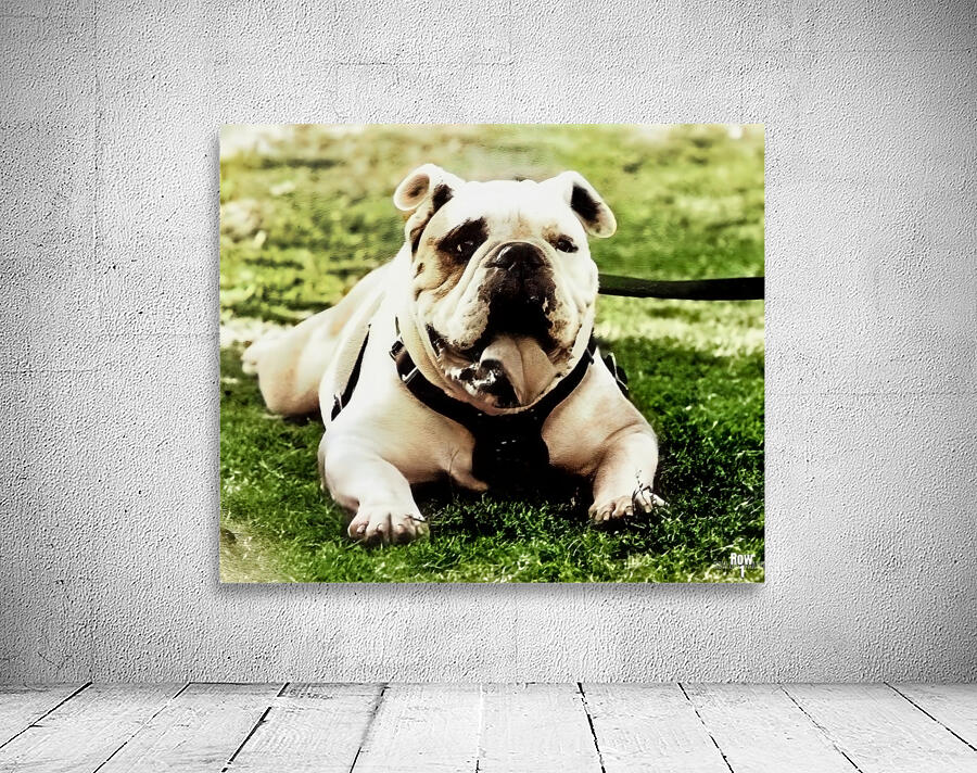 1980s bully mascot art  Wall Preview