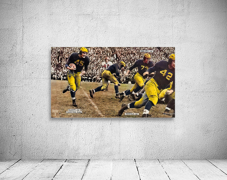 1945 Michigan Wolverines Football Art Wall Preview