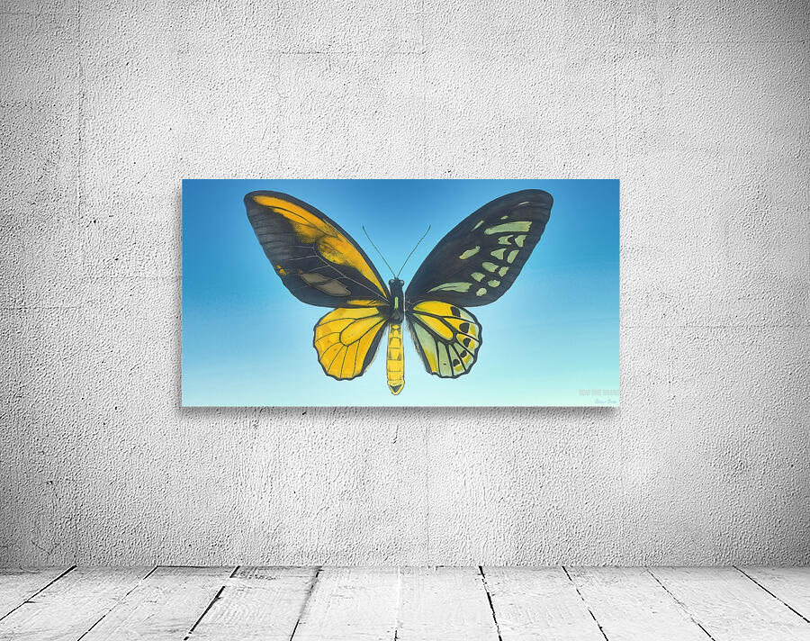 Learning to Fly Wall Preview