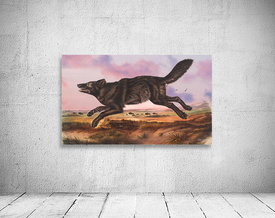 Black American Wolf Wall Preview