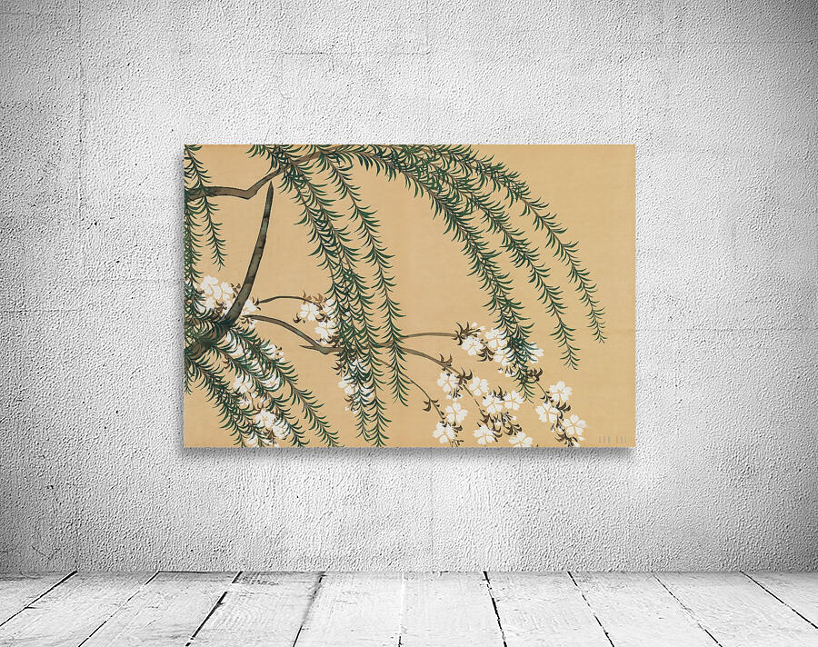 Willow and Cherry  Wall Preview