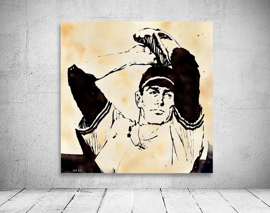 baseball pitcher windup Wall Preview