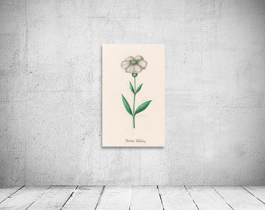 1692 Flower Art Wall Preview