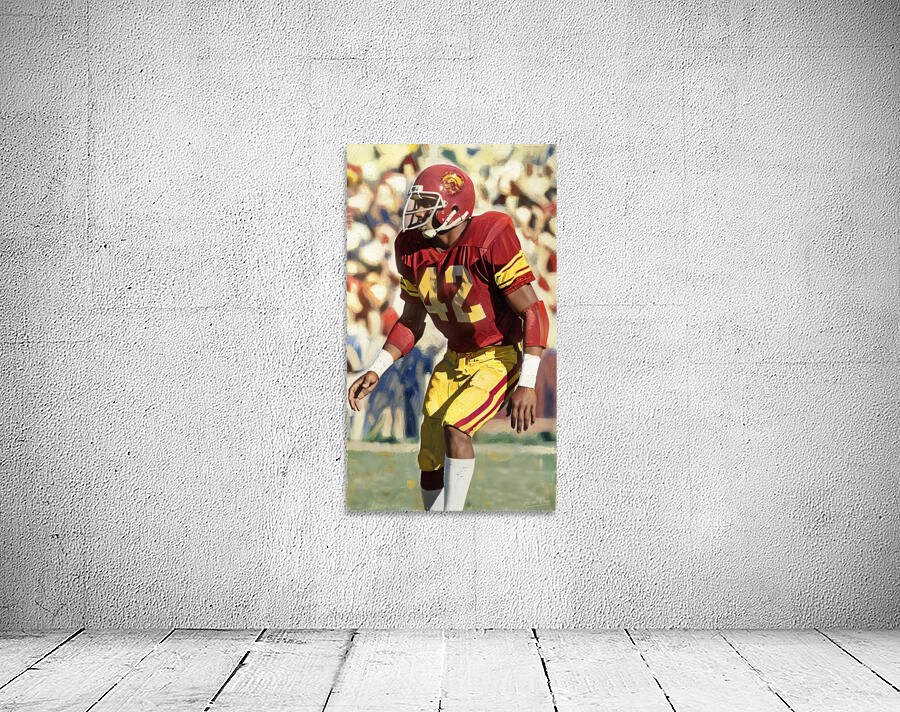 1978 USC Trojan Star Ronnie Lott Wall Preview