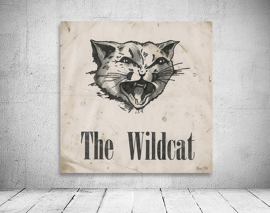 The Wildcat Wall Preview