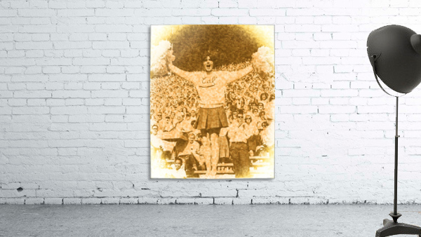 Cal Bear Cheerleader Wall Preview