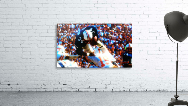 Bo Jackson Dive II Wall Preview