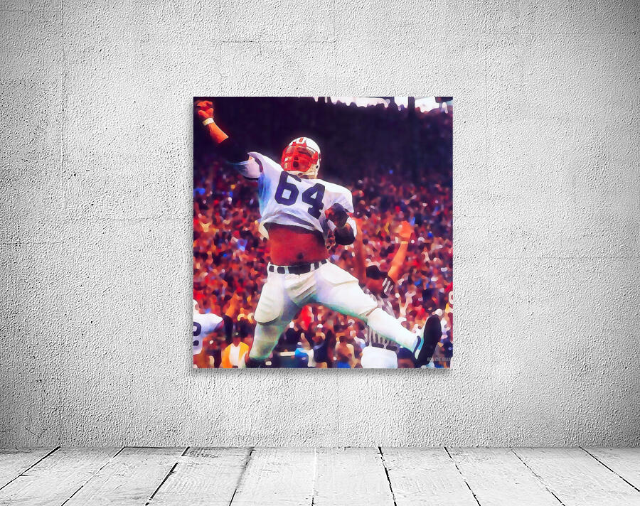 jumping for joy Wall Preview