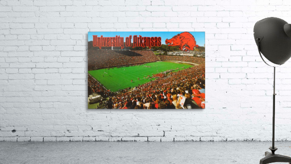Razorback Stadium Art Wall Preview