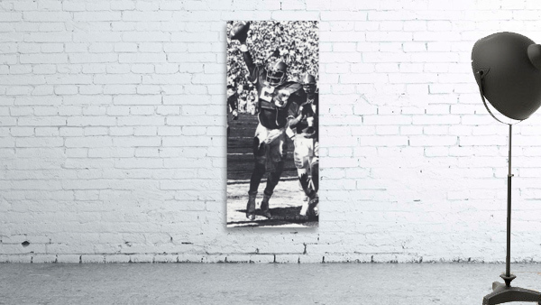 NC State Ted Brown Poster Wall Preview