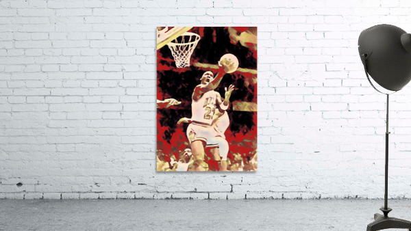 Michael Jordan Reverse Wall Preview