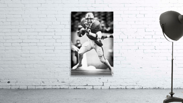 1983 Eric Dickerson Row 1 Wall Preview
