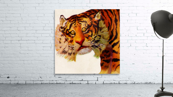 1949 Vintage Tiger Art by Row One Brand Wall Art