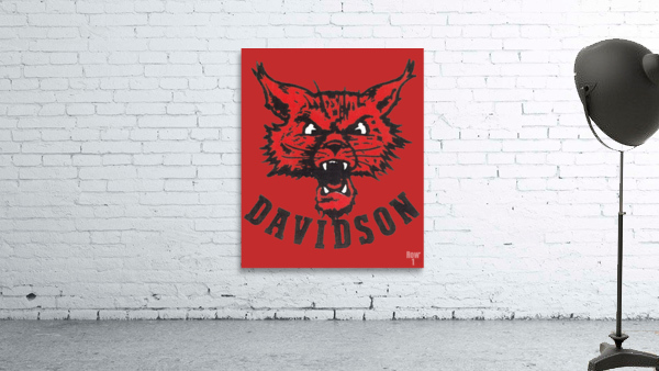 Vintage Davidson Wildcat Art Wall Preview