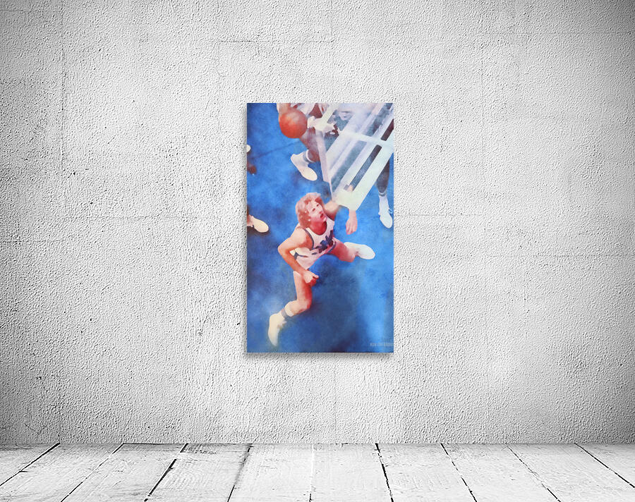 Birds Eye View Wall Preview