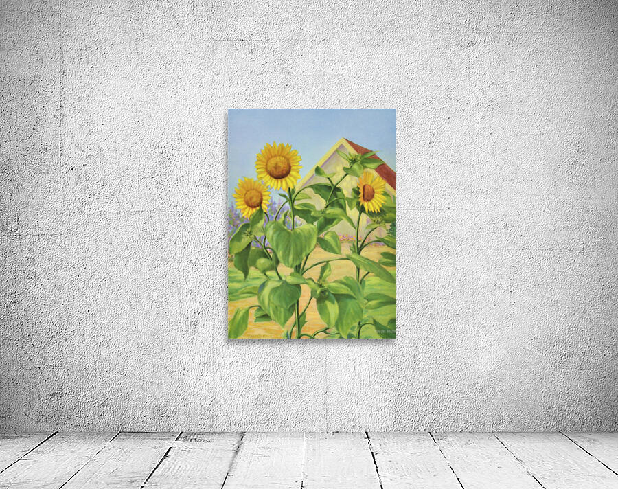 sunflower cargill 1937 Wall Preview