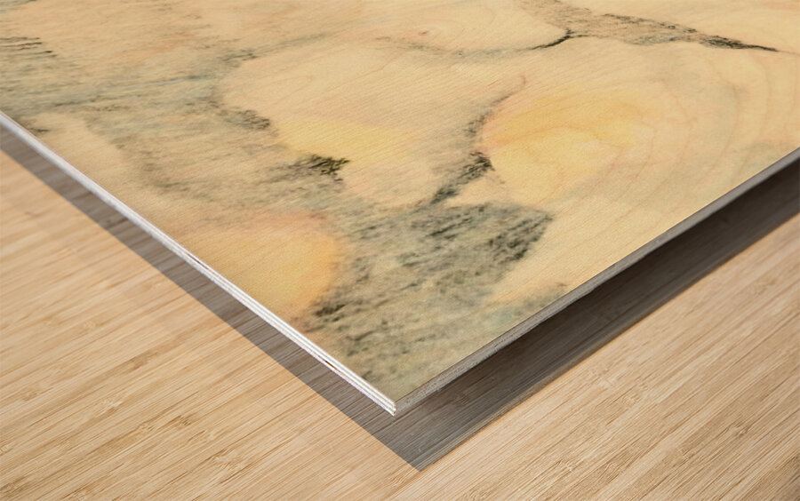 1930s western art Wood print