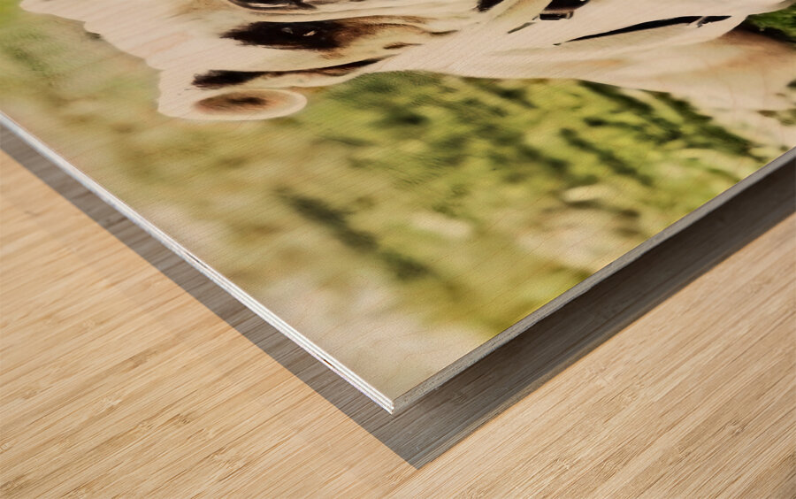 1980s bully mascot art  Wood print