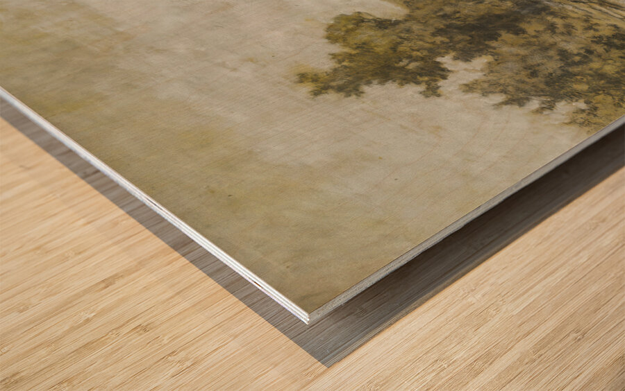 Milton New York ca. 1856  Wood print