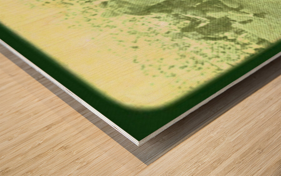 1936 Baylor Bears vs. Texas Longhorns Wood print