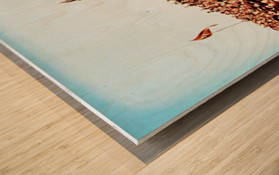 1963 western michigan football gameday Wood print