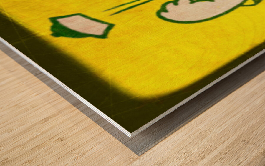 Oregon Duck Viewfinder Slide Remix Wood print