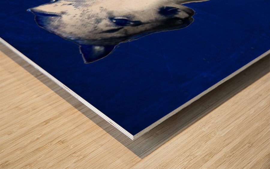 Early 1900s BYU Cougars Art Wood print