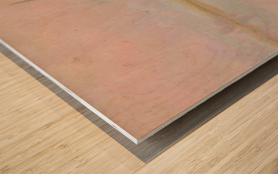 Reeds at the lake 1910  Wood print