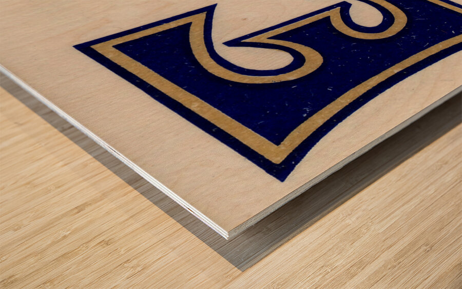 Vintage East Tennessee Bucs Art Wood print