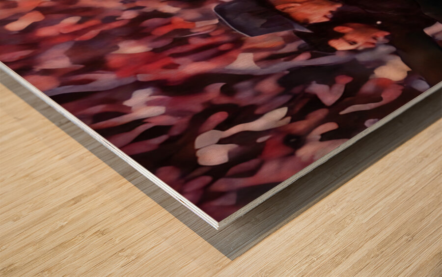 1960s Penn State Football Sideline Art Wood print