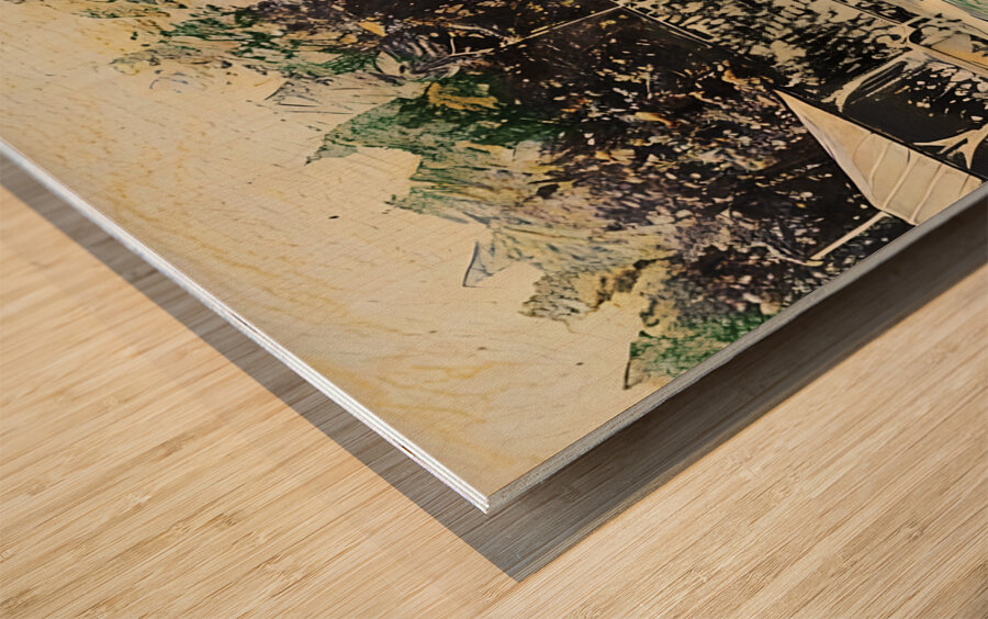 1919 penn state baseball Wood print