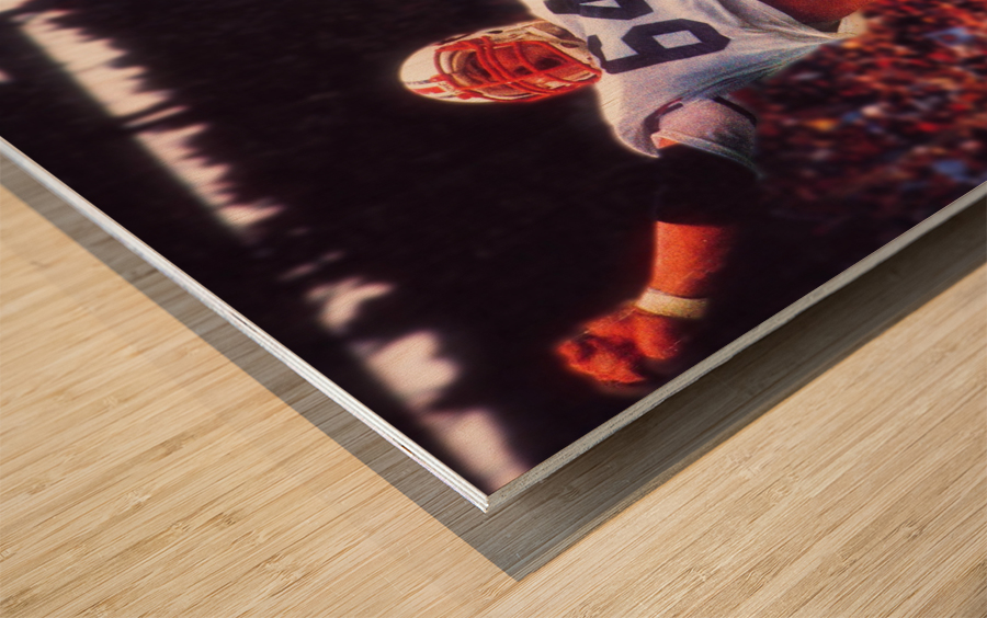 1983 Auburn Tigers Football Poster Wood print