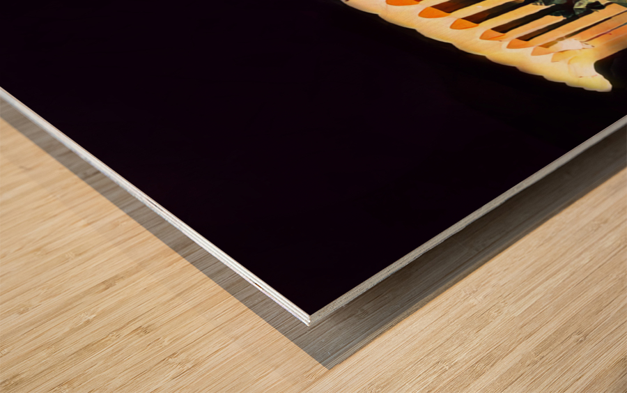 The Forum LA Lakers Home Arena Vintage Art Wood print