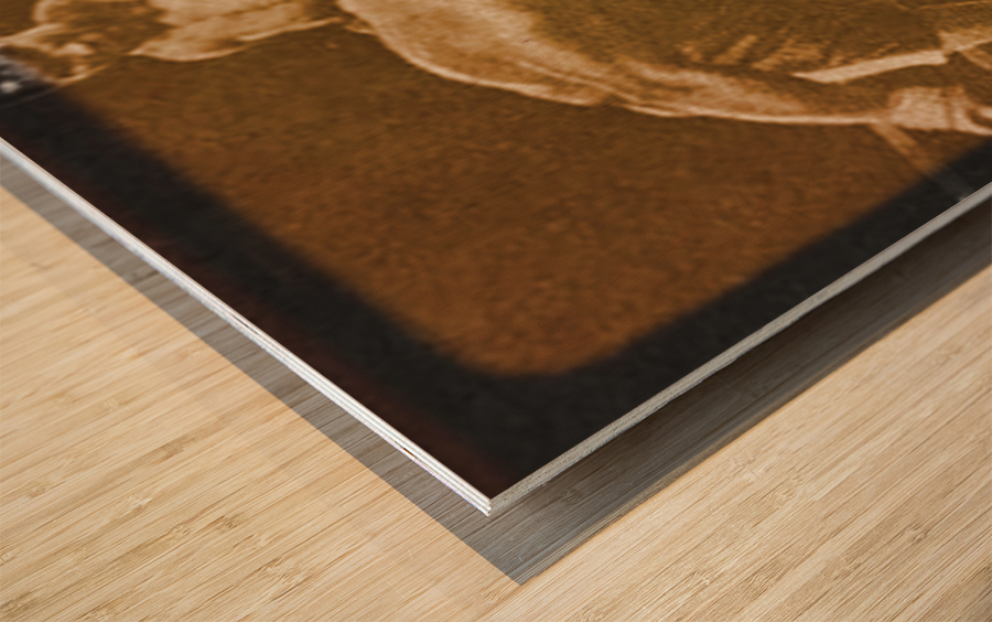 Foreman vs. Ali Boxing Viewfinder Slide Art Wood print